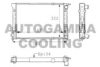 AUTOGAMMA 101053 Radiator, engine cooling